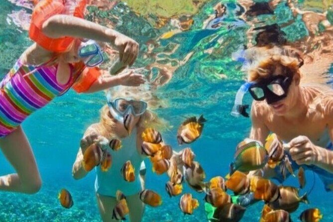 St Lucia Private Boat Tour/Sightseeing/Snorkeling - Authenticity and Value