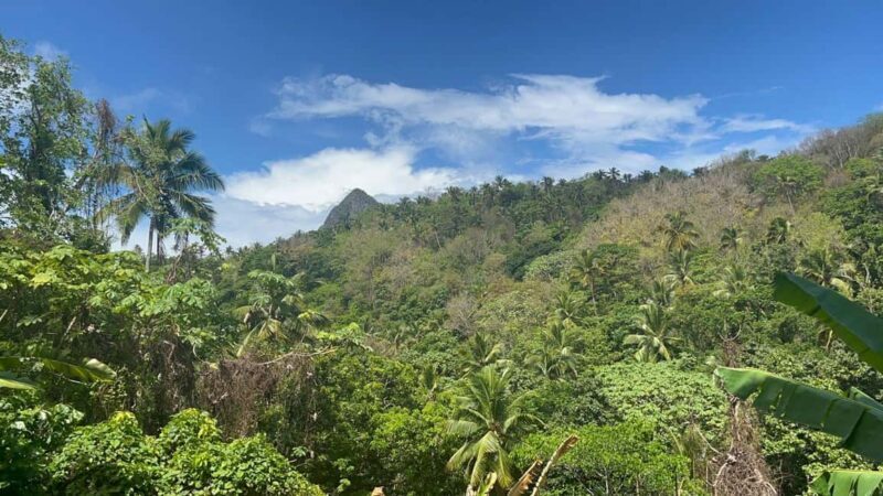 St. Lucia: Safi Estate, Volcano Waterfalls Experience - St. Lucia: Safi Estate, Volcano Waterfalls Experience