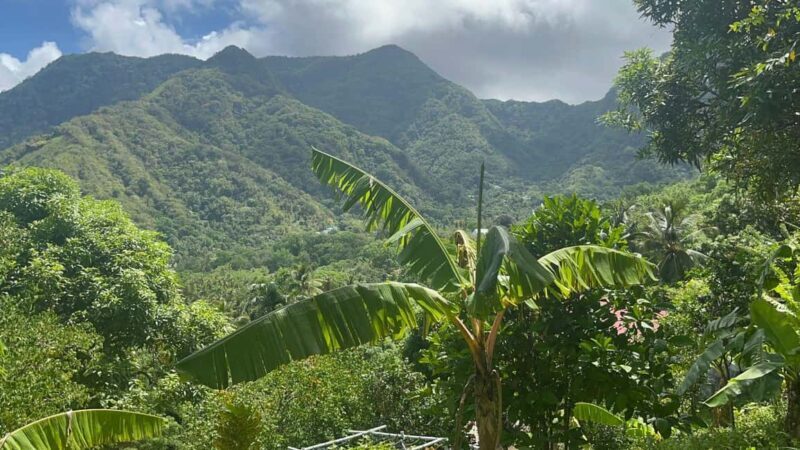 St. Lucia: Safi Estate, Volcano Waterfalls Experience - Key Points