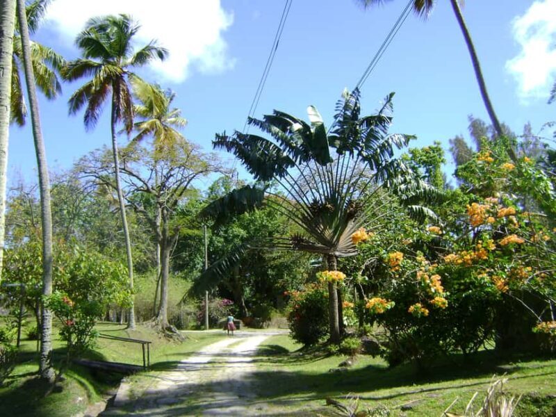 St Lucia: Sapphire Falls Hike with Cruise and Creole Lunch - How Does It Stack Up?