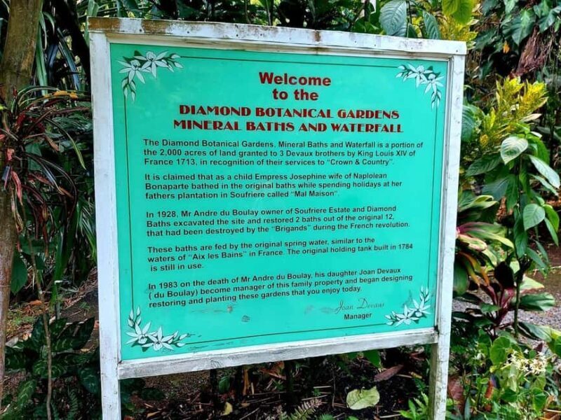 St. Lucia: Scenic Nature Hike & Botanical Garden Escape - The Sum Up