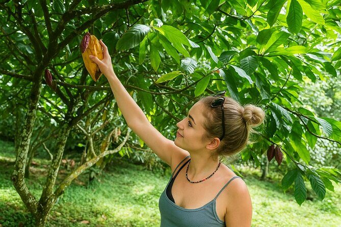 St Lucia Soufriere Private Chocolate Tour - Exploring the Details of the Tour