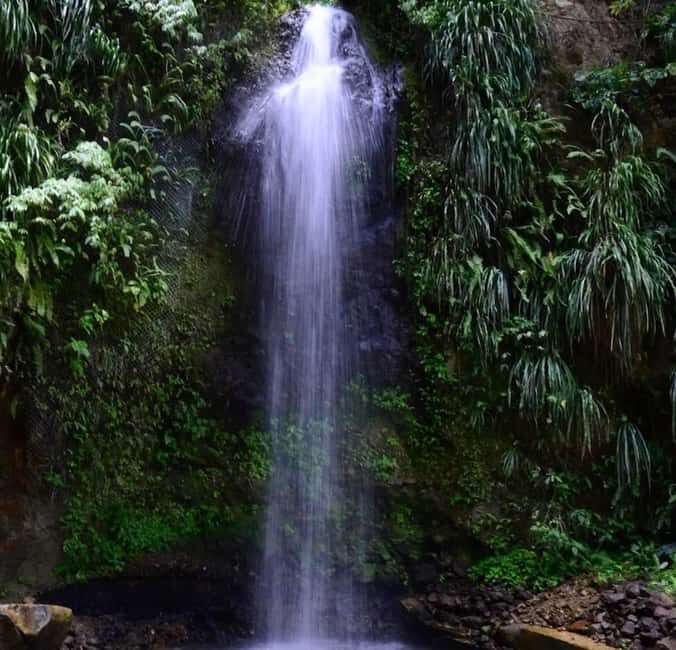 St. Lucia: Sulphur Springs Mud Bath and Toraille Waterfall - FAQ: Your Questions Answered