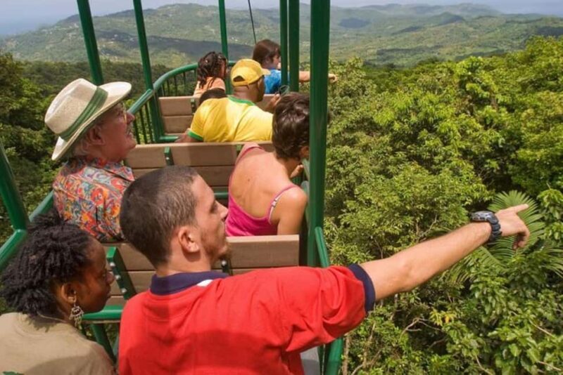 St. Lucia: Zip Line, Aerial Tram, and Hiking Tour - Exploring the Details of the Tour