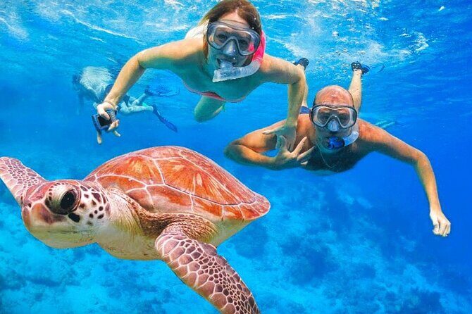 St.Maarten Nature, Hike & Snorkeling - Discover the Natural Charm of St. Maarten with a Hike, Snorkel & Beach Day