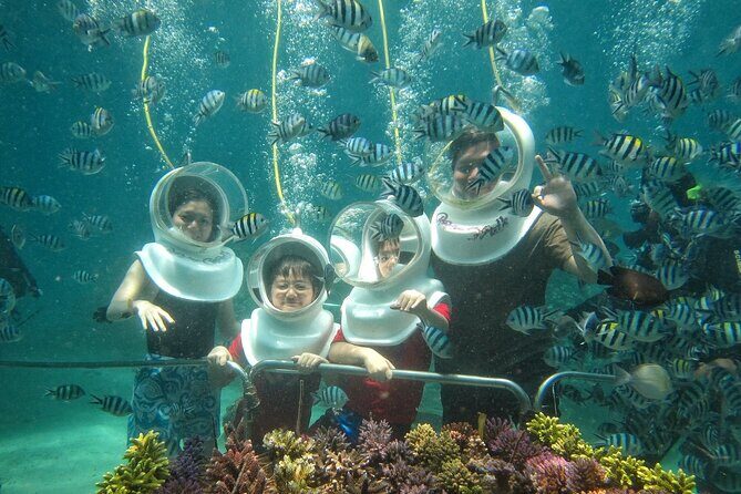 St Maarten SeaTrek and Snorkeling Adventure - An In-Depth Look at the Tour