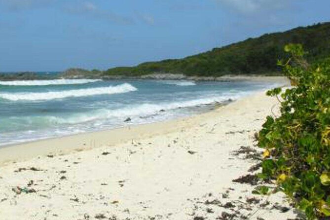 St. Martin or St. Maarten: Nature Hike Secret Beach Tour - Final Thoughts: Who Is This Tour Best For?