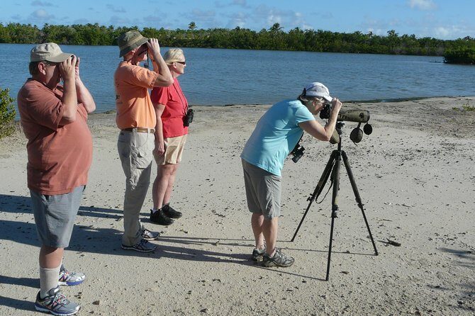 St.Martin - St.Maarten: Small Group, Birding Tour / Bird Watching Tour - An In-Depth Look at the Birding Tour Experience