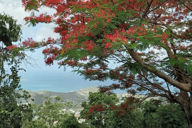 St.Martin - St. Maarten: Small Group, Coastal Hike & Swim Tour - Final Thoughts: The Value of a Nature-Focused Adventure