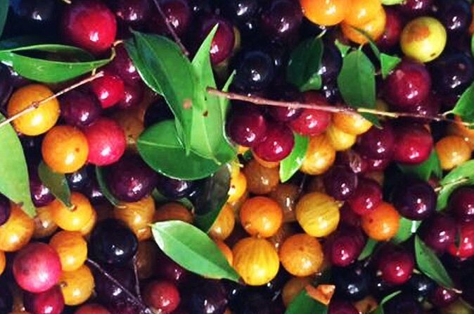 St.Martin - St.Maarten: Small Group, Culinary Food Tour - FAQ