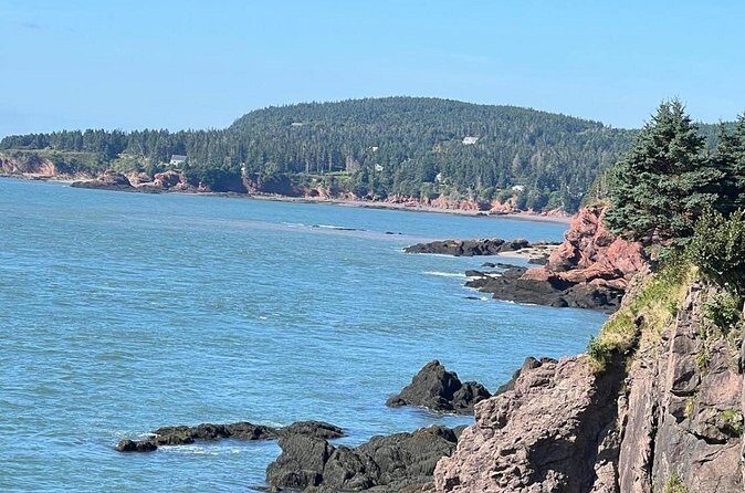 St Martins Sea Caves Bus Tour - Final Thoughts: Who Will Love This Tour?