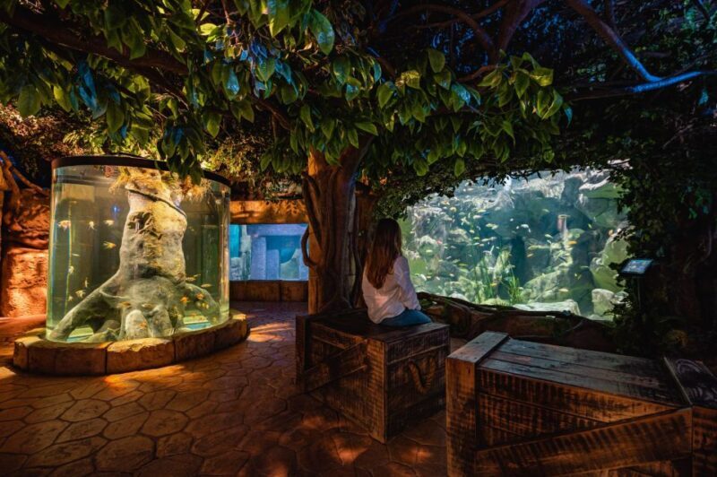 St Paul's Bay: Malta National Aquarium Entry Ticket - A Deep Dive into the Malta National Aquarium Experience