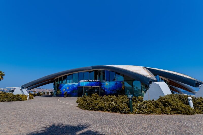 St Paul's Bay: Malta National Aquarium Entry Ticket - The Sum Up: Is the Malta National Aquarium Worth It?