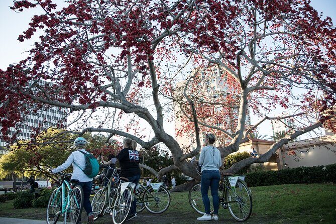 St Pete Ebike Tour with Lunch - Discovering Downtown St. Petersburg on an Ebike