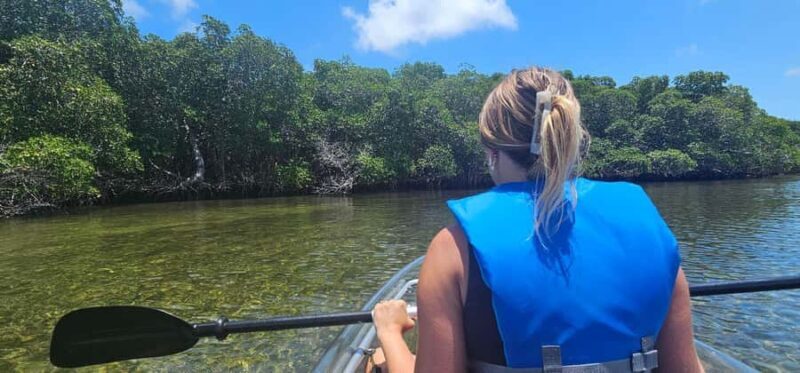 St. Petersburg: Clam Bayou Nature Preserve Clear Kayak Tour - Who Should Consider This Tour?