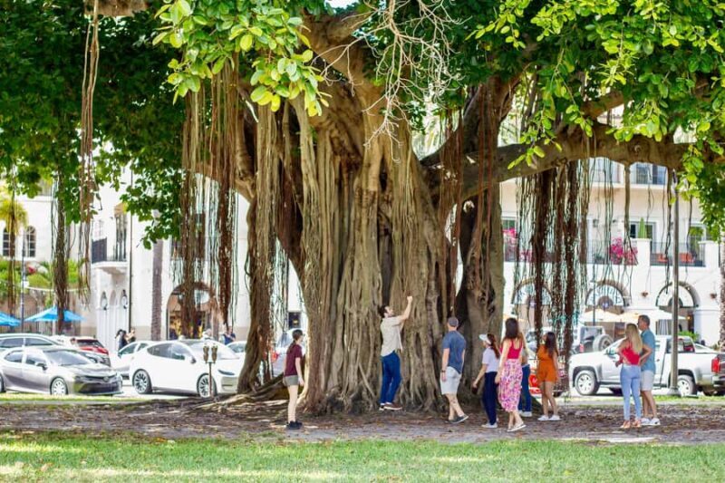 St. Petersburg: Downtown Sightseeing Electric Golf Cart Tour - Final Thoughts