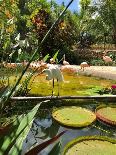 St. Petersburg: Eco Segway Tour with Sunken Gardens - In-Depth Look at the Tour Experience