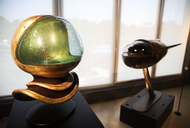 St. Petersburg, FL: Imagine Museum Admission Ticket - A Closer Look at the Exhibits