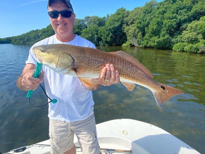 St. Petersburg, FL: Tampa Bay Private Inshore Fishing Trip - Tampa Bay Private Inshore Fishing Trip: A Truly Authentic Florida Experience