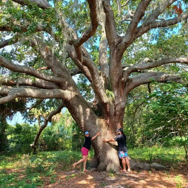 St. Petersburg: Lake Maggiore Bike Tour with Guide - Key Points