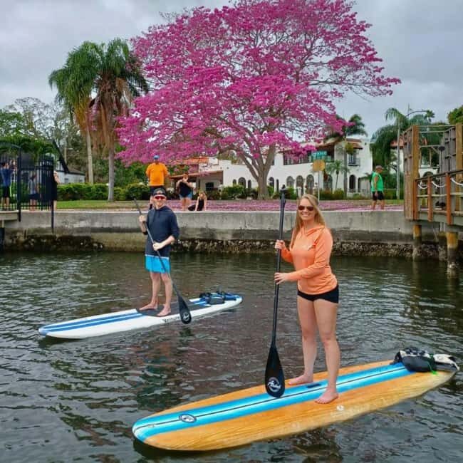 St. Petersburg: Paddle Board Tour with Wildlife Spotting - A Closer Look at the Paddle Board Tour in St. Petersburg