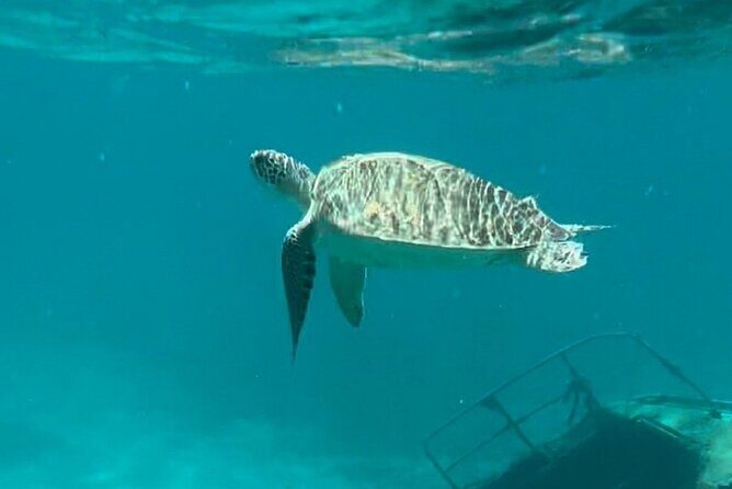 St Thomas - Jeep Tour Customized Itinerary 5hrs - Frequently Asked Questions