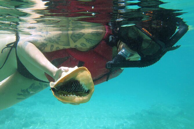 St Thomas Kayak and Sea Turtle Snorkel Excursion - A Deep Dive into the St. Thomas Kayak and Sea Turtle Snorkel Tour