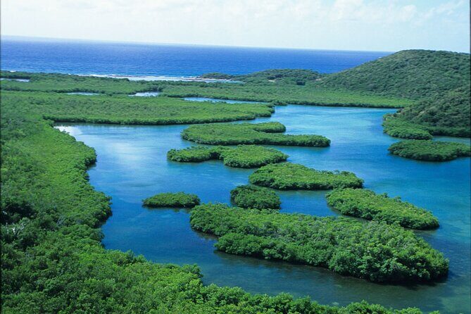 St Thomas Mangrove Lagoon Kayak and Snorkel Tour in the US Virgin Islands - FAQ