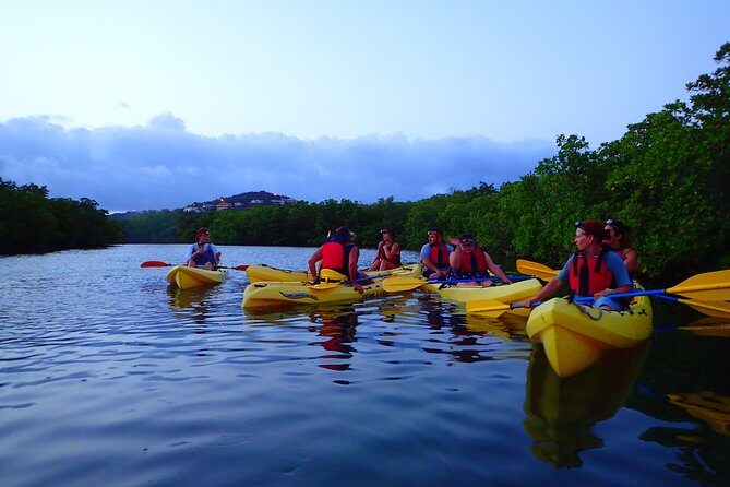 St Thomas Night Kayak Tour - Discover the Magic of the St. Thomas Night Kayak Tour