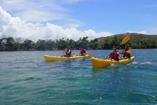 St Thomas Shore Excursion: Mangrove Lagoon Kayak and Snorkel Tour - Final Thoughts