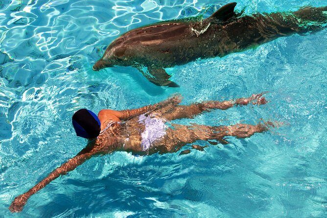 St Thomas~St John Snorkel, Swim & Beach Trip on MV Island Flyer - The Sum Up