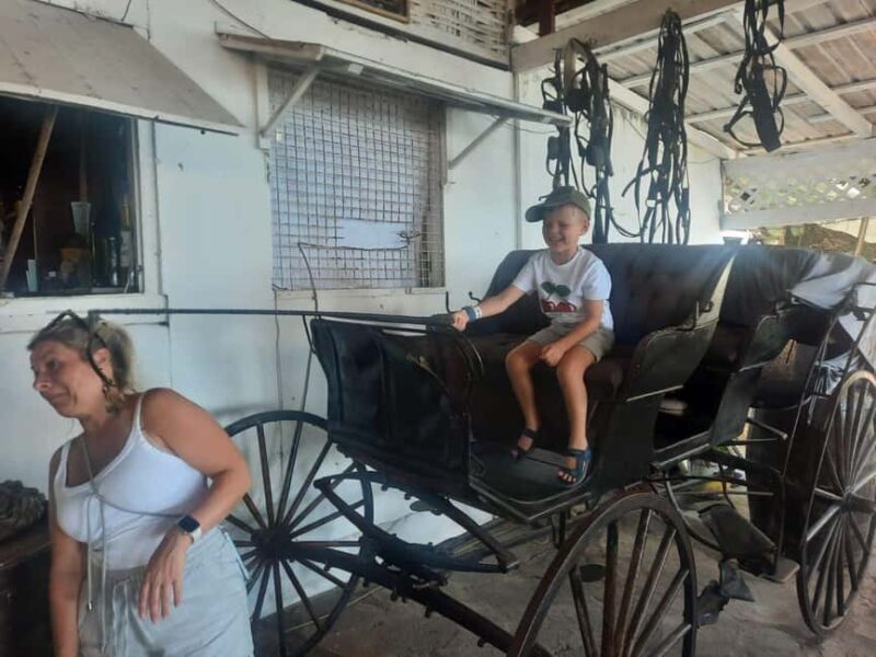 St. Vincent: Leeward Island Tour with Dark View Falls - Final Thoughts