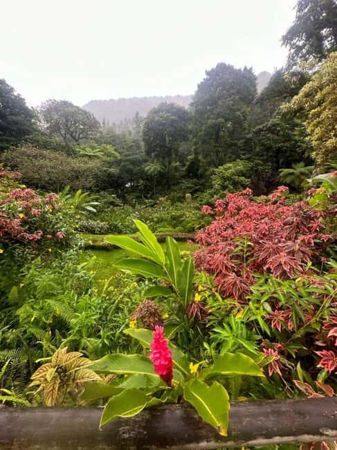 St Vincent: Montreal Gardens, Botanical Gardens & Fort Tour - Final Thoughts