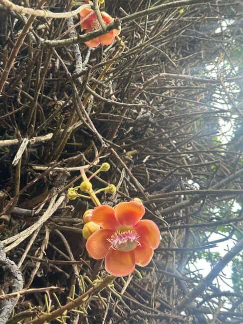 St. Vincent: Vermont Nature Trail - Exploring the Vermont Nature Trail in St. Vincent: An Authentic Nature Escape