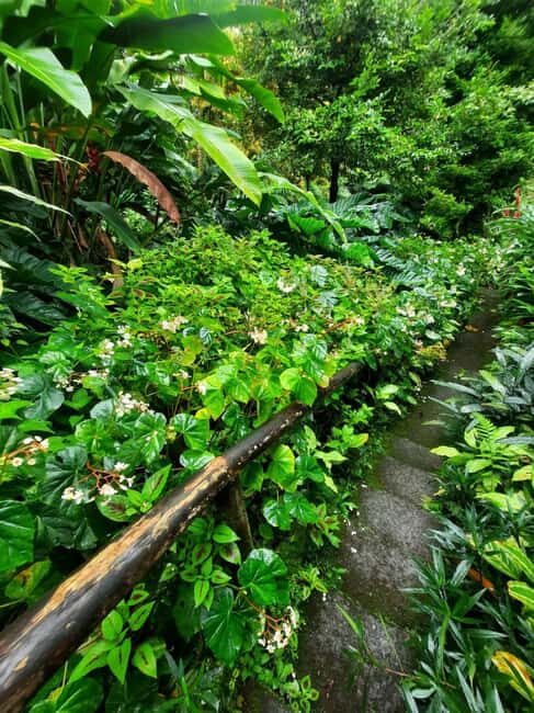 St. Vincent: Vermont Nature Trail - Key Points