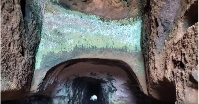 St Vincent: Windward Trifecta Tour with Trubb Taxi Tours - Why This Tour Offers Great Value