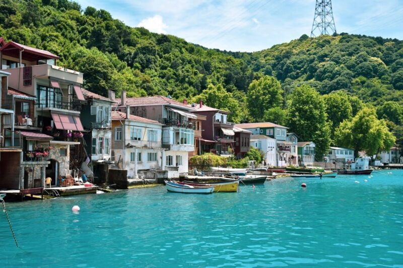 stanbul: Afternoon Bosphorus and Black Sea Cruise - Key Points