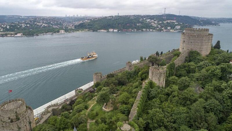 stanbul: Afternoon Bosphorus and Black Sea Cruise - A Detailed Look at the Experience