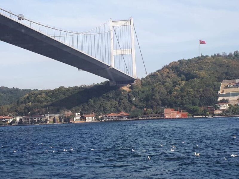 stanbul Modern Tour - FAQ