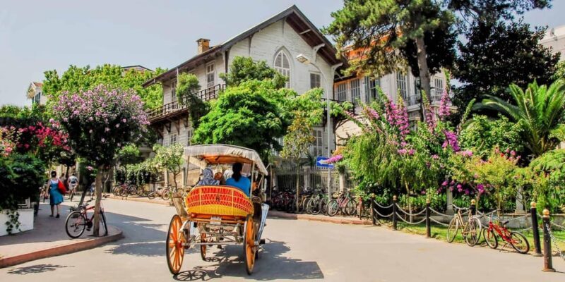 stanbul: Prince Island Full Day Tour - What Travelers Say