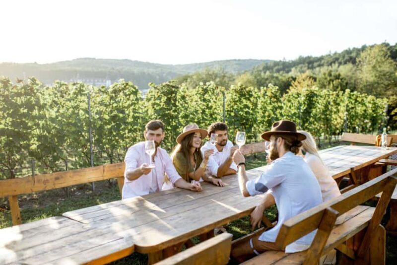 Stancija Collis: A Private Winery adventure in Rovinj - What to Expect on Your Visit to Stancija Collis