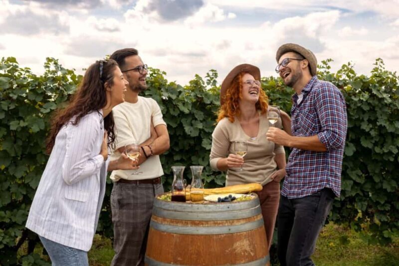 Stancija Collis: A Private Winery adventure in Rovinj - The Experience Provider and Booking Flexibility