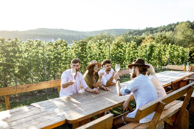 Stancija Collis: A Winery Adventure Tour in Rovinj - Discovering Stancija Collis: A Genuine Winery Experience in Rovinj