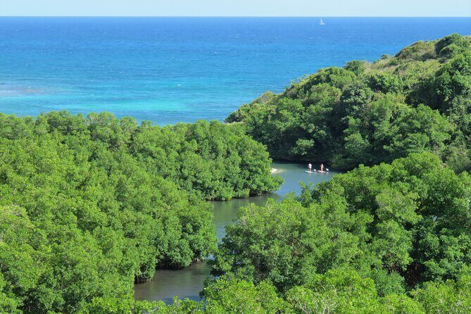 Stand Up Paddle Adventure in Guadeloupe - Final Thoughts: Who Should Consider This Tour?