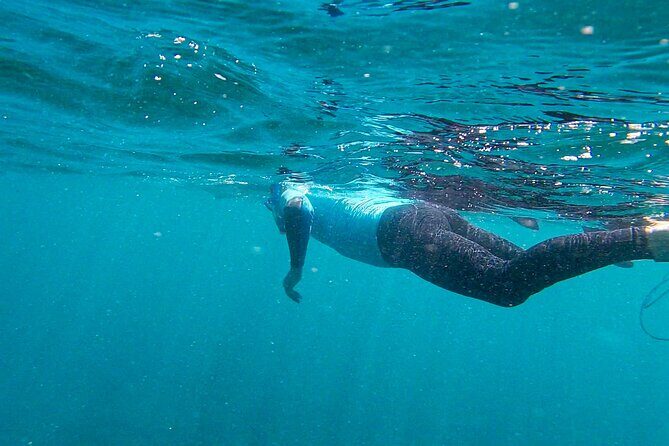 Stand Up Paddle and Snorkeling Tour of Gran Canaria with Transfers south area - Exploring the Gran Canaria Water Adventure: The Complete Breakdown