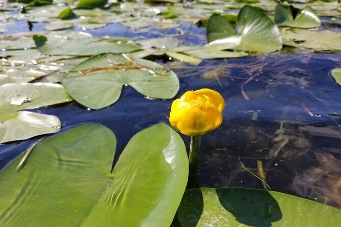 Stand Up Paddle at Skadar lake and Hiking from Valbona to Theth in 4 Days - Frequently Asked Questions