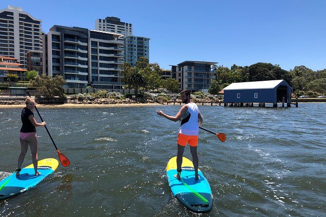 Stand Up Paddle Board Hire - Exploring the Swan River by Stand-Up Paddleboard: A Practical Guide