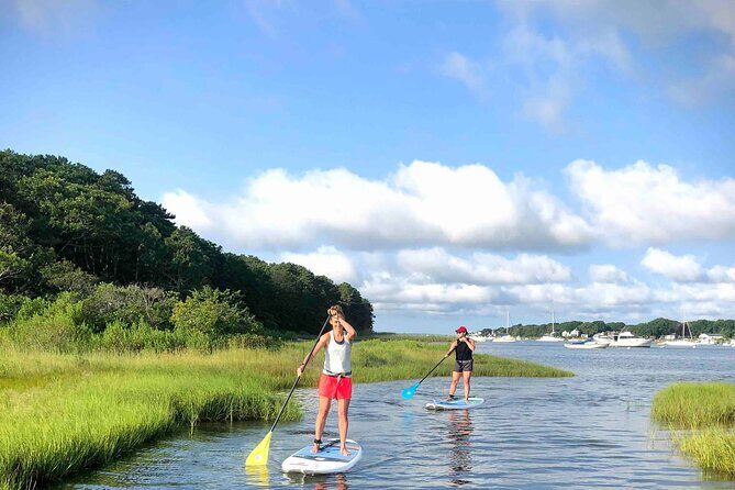 Stand Up Paddle Board Ice Cream Boat Adventure - Discover the Joy of the Stand Up Paddle Board Ice Cream Boat Adventure in Cape Cod