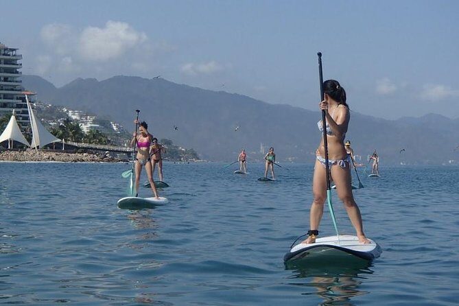 Stand-Up Paddle Board Lesson in Puerto Vallarta - The Lesson: Learning to Paddle