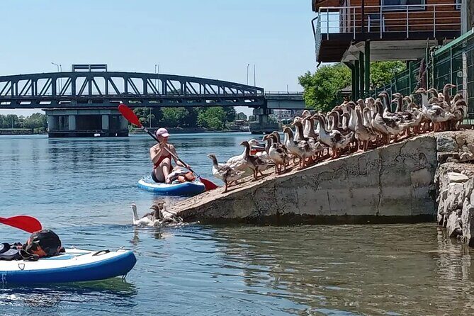 Stand Up Paddle Board or Kayak Rental in Shkodër - A Clear Look at the Experience